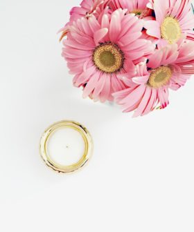 Free Stock Photo Pink Flower