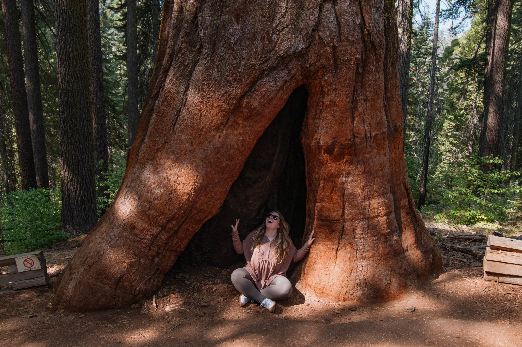 Northern California Travel Guide - Helene In Between